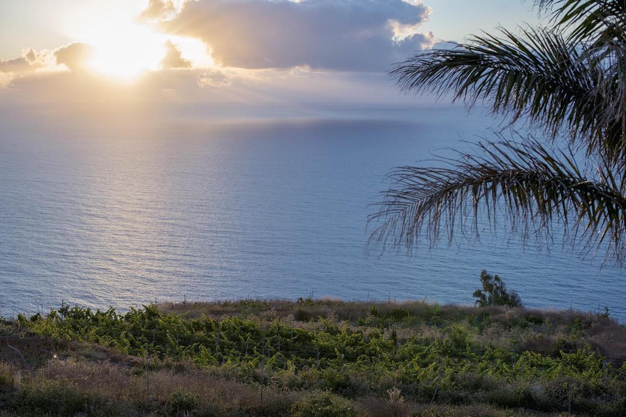 San Diego La Matanza De Acentejo 外观 照片